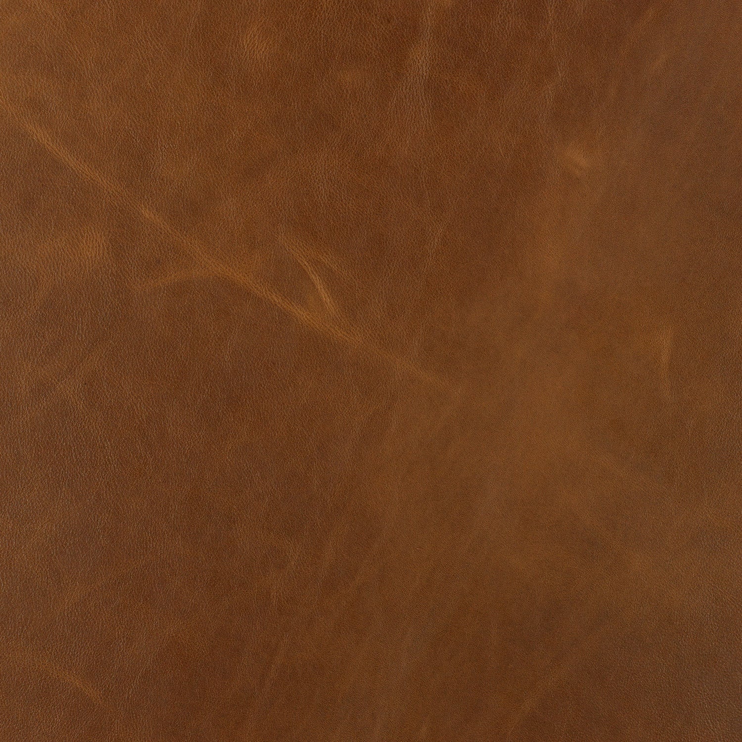Sundance Marigold Leather